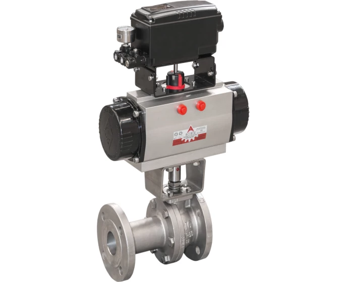 316AIS V-PORT